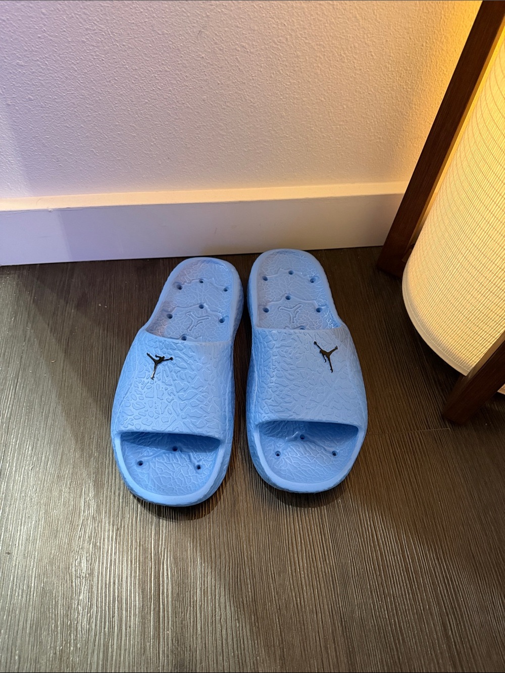 Jordan Kids Light Blue Slide Sandals with Black Jumpman